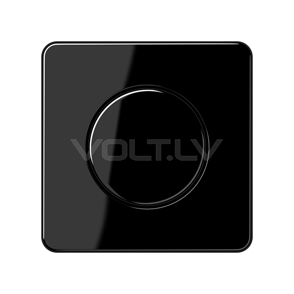 Centrālplate regulātoram "Melns" CD