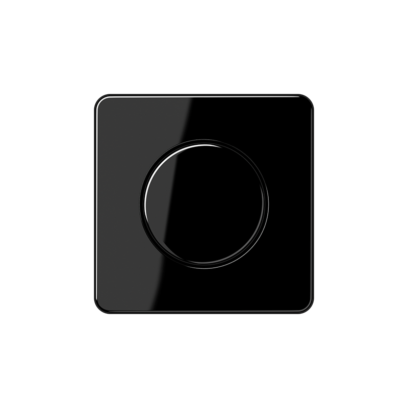 Centrālplate regulātoram "Melns" CD