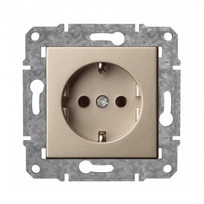 Rozete a/z "Šampanietis" Epsilon