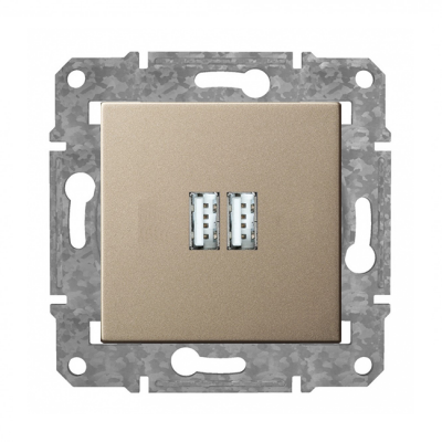 Rozete USB+USB "Šampanietis" Epsilon