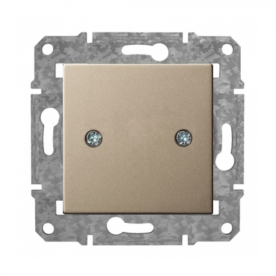 Nosegplate "Šampanietis" Epsilon