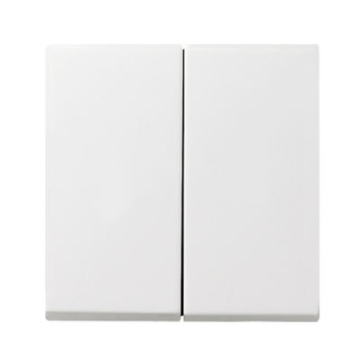 Gira System 55 (System 55), Gira E2 , Gira E3, Gira Event (System 55), Gira Event Clear (System 55), Gira Event Opaque, Gira Esp