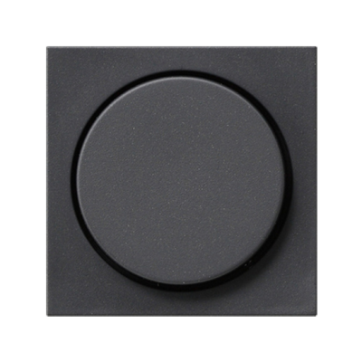 Gira System 55 (System 55), Gira E2 , Gira E3, Gira Event (System 55), Gira Event Clear (System 55), Gira Event Opaque, Gira Esp