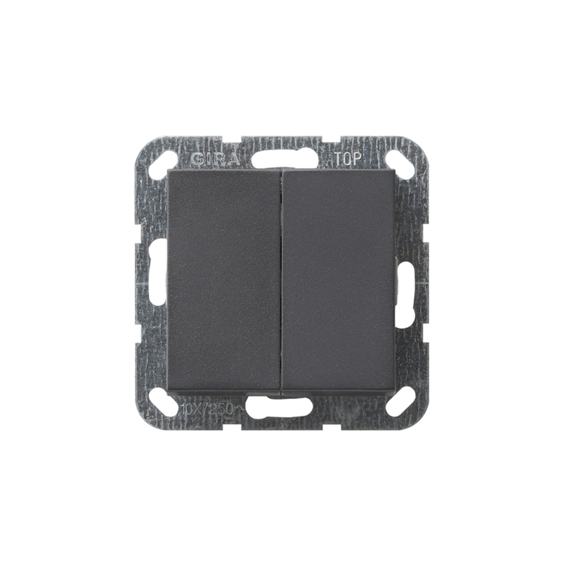 Gira System 55 (System 55), Gira E2 , Gira E3, Gira Event (System 55), Gira Event Clear (System 55), Gira Event Opaque, Gira Esp