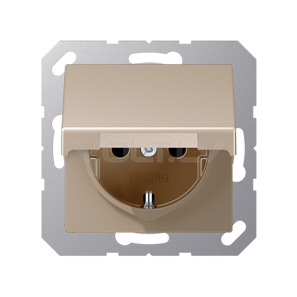 Розетка с/з с крышкой "Шампанский" A